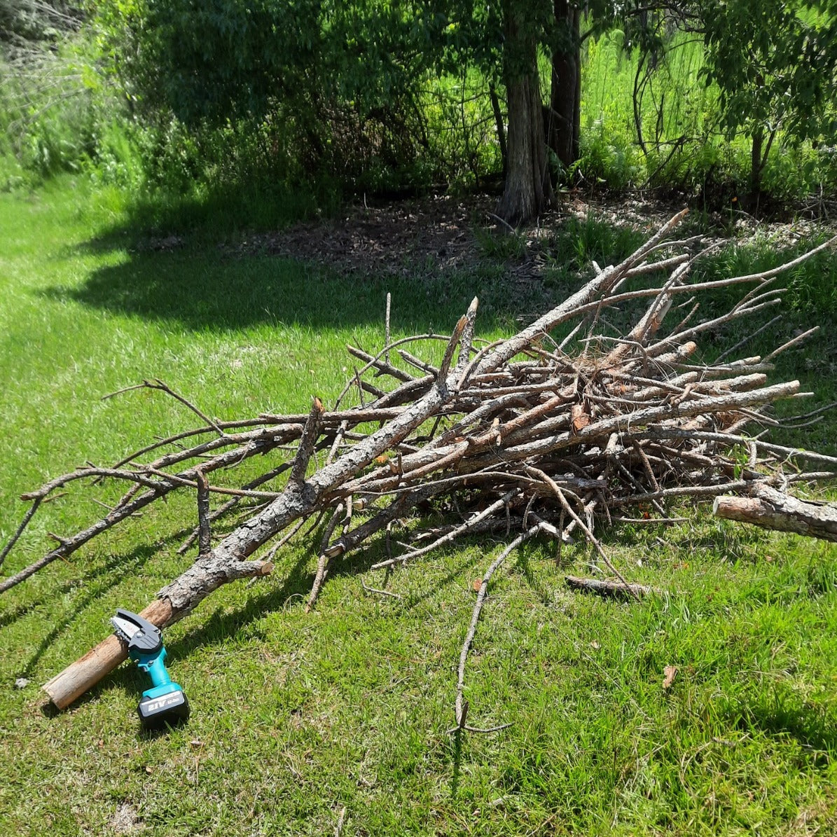 Cordless Electric Chainsaw