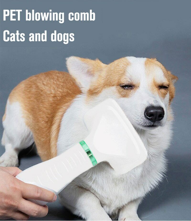 2 in 1 Pet Hair Comb & Dryer