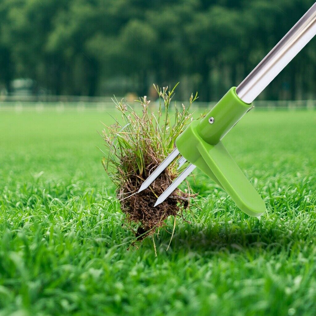 Weed Roots Remover